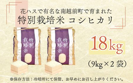 令和5年度産 特別栽培米 コシヒカリ 18kg（9kg×2袋）[C-012004]