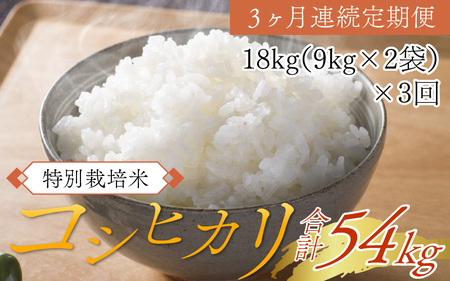 令和5年度産米】3ヶ月定期便 コシヒカリ 精米 18kg×3回 | 福井県南越前