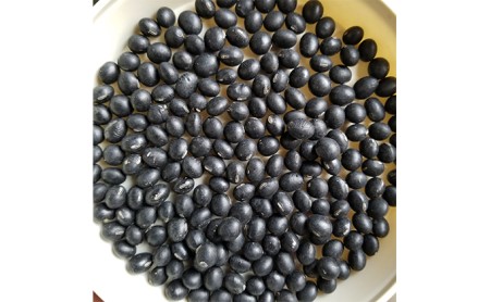 減農薬栽培 黒大豆 2kg