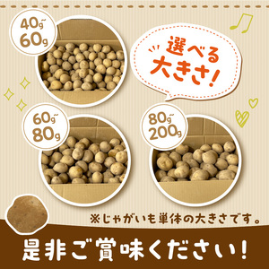 【予約：2025年2月上旬から順次発送】【選べる3サイズ】宇野さんの手拾い、手選別の越冬ジャガイモ 5kg ( 芋 野菜 選べる )【167-0003-2025】