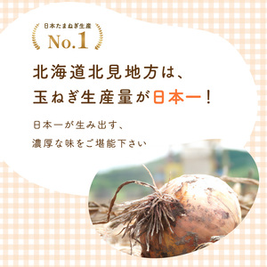 《7営業日以内に発送》大地の恵み北海道やさしいたまねぎスープ 8袋×1箱 ( 玉ねぎ 簡単 粉末 スープ )【125-0046】