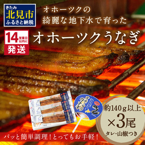 《14営業日以内に発送》オホーツクの綺麗な地下水で育った オホーツク うなぎ 3尾 ( 蒲焼 蒲焼き 丑の日 土用丑の日 )【160-0004】