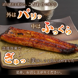 《14営業日以内に発送》オホーツクの綺麗な地下水で育った オホーツク うなぎ 3尾 ( 蒲焼 蒲焼き 丑の日 土用丑の日 )【160-0004】