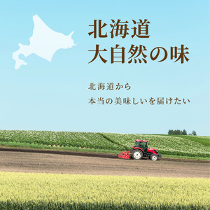 【6ヶ月定期便】ほっこり北海道スープ ( 定期便 簡単 野菜 ホタテ 玉ねぎ じゃがバター )【999-0192】