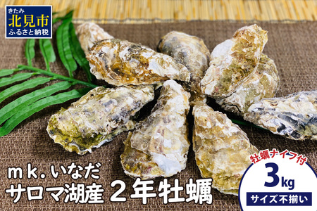 【予約:2025年10月下旬から順次発送】サロマ湖産 殻付き2年牡蠣 3kg サイズ不揃い ※牡蠣ナイフ付 ( カキ かき 3キロ 魚介 海鮮 貝 ふるさと納税 BBQ バーベキュー )【113-0015-2025】
