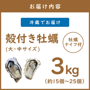 【予約:2025年10月下旬から順次発送】サロマ湖産 殻付き2年牡蠣 3kg サイズ不揃い ※牡蠣ナイフ付 ( カキ かき 3キロ 魚介 海鮮 貝 ふるさと納税 BBQ バーベキュー )【113-0015-2025】