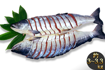 【B-001】オホーツク産 新巻鮭 切り身姿づくり 約3kg~3.3kg