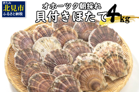 【A-027-06】オホーツク朝採れ貝付きほたて4kg(25枚~40枚)