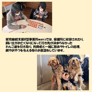 《14営業日以内に発送》小型犬用首輪 2個 リード 2本 4点セット ( ペット 犬 小物 わんこ 手作り 首輪 リード )【195-0003】