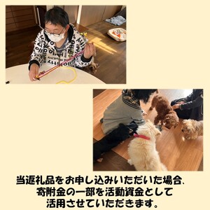 《14営業日以内に発送》小型犬用首輪 2個 リード 2本 4点セット ( ペット 犬 小物 わんこ 手作り 首輪 リード )【195-0003】