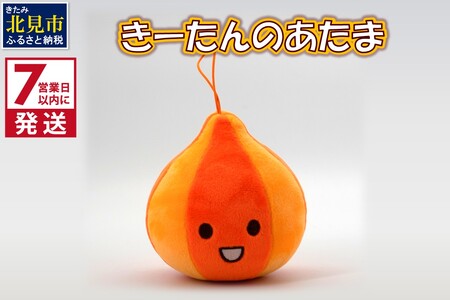 《7営業日以内に発送》きーたんのあたま ( ぬいぐるみ 玉ねぎ マスコット )【165-0001】
