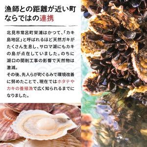 《14営業日以内に発送》時鮭とイクラの醤油漬け 80g×4パック ( いくら 小分け 魚介類 海鮮 )【114-0057】
