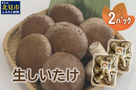 北海道産 生しいたけ(菌床) 2パック ( きのこ キノコ 椎茸 シイタケ )【038-0006】
