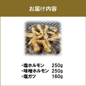 《7営業日以内に発送》北見 ホルモン 3点セット ( 焼肉 ホルモン 肉 にく 味付き肉 )【205-0001】