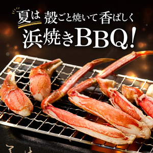 《生食可》北見市加工 生冷本ズワイガニ 1kg ( カニ かに 蟹 ズワイガニ ずわい蟹 海鮮 魚介類 )【209-0003】