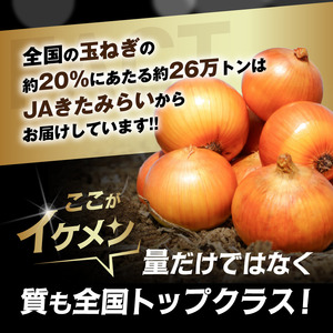 JAきたみらい産 玉ねぎ Lサイズ 10kg ( タマネギ たまねぎ 野菜 )【210-0003】