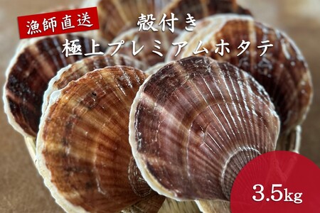 オホーツク漁師直送 殻付き 極上プレミアムホタテ 3.5kg ( 魚介 海鮮 貝 ホタテ ほたて 帆立 生食 炙り焼き バター焼き )【197-0001】