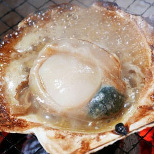 オホーツク漁師直送 殻付き 極上プレミアムホタテ 3.5kg ( 魚介 海鮮 貝 ホタテ ほたて 帆立 生食 炙り焼き バター焼き )【197-0001】