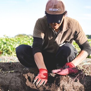 【予約:2025年11月中旬から順次発送】北海道北見市常呂町産 サツマイモ オホーツクシルク 5kg ( さつまいも さつま芋 焼き芋 大学芋 )【111-0001】