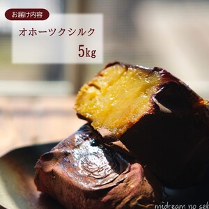 【予約:2025年11月中旬から順次発送】北海道北見市常呂町産 サツマイモ オホーツクシルク 5kg ( さつまいも さつま芋 焼き芋 大学芋 )【111-0001】