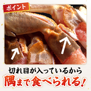 【北見応援返礼品】北見市加工 生冷本ズワイガニセット 800g 昆布入 ( 海鮮 魚介類 魚介 蟹 かに カニ セット 鍋 カニ鍋 カニ爪 ズワイガニ かにしゃぶ カット済 贈答 ギフト 熨斗 のし ふるさと納税 )【094-0080-yell】