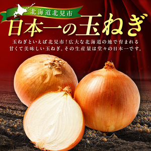 【予約：2025年12月から順次発送】北見市産玉ねぎ使用 味付け牛肉 シャリアピンソース 300g×3個 ( 肉 牛肉 たまねぎ タマネギ 焼肉 )【224-0002】