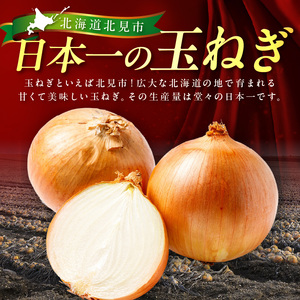 【予約：2025年12月から順次発送】北見市産玉ねぎ使用 玉ねぎハンバーグ 150g×10個 ( 肉 加工品 たまねぎ タマネギ 焼肉 小分け )【224-0011】