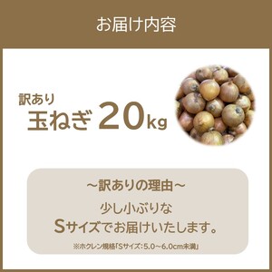 【訳アリ】玉ねぎ 20kg Sサイズ ( 北海道産 野菜 たまねぎ わけあり )【009-0005】