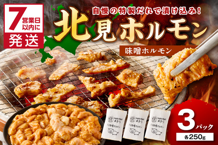 《7営業日以内に発送》北見味噌ホルモン 250g×3パック ( 焼肉 ホルモン 肉 にく みそ 味噌 )【205-0003】 11,700円