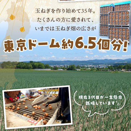 【予約：2026年10月から順次発送】日本一の生産地！北海道北見市の玉ねぎ 2kg！スープ2本付き♪ ( 玉ねぎ 玉葱 たまねぎ タマネギ オニオン スープ 即席 料理 )【164-0009】