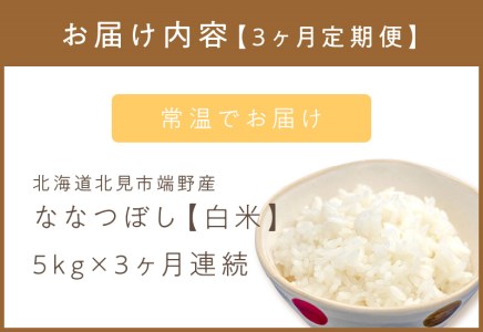 3ヶ月定期便】ななつぼし 白米5kg 北海道 北見市端野産 ( お米 米類 米