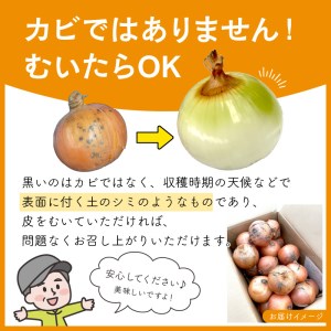 【予約：2024年10月中旬から順次発送】日本一の玉ねぎ生産地！信田農園の玉ねぎ 5kg Lサイズ ( 信田農園 野菜 玉ねぎ 玉葱 タマネギ たまねぎ 甘い 5キロ オニオン ふるさと納税 )【124-0002-2024】