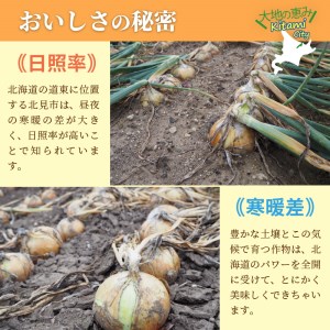 【予約：2024年10月中旬から順次発送】日本一の玉ねぎ生産地！信田農園の玉ねぎ 5kg Lサイズ ( 信田農園 野菜 玉ねぎ 玉葱 タマネギ たまねぎ 甘い 5キロ オニオン ふるさと納税 )【124-0002-2024】