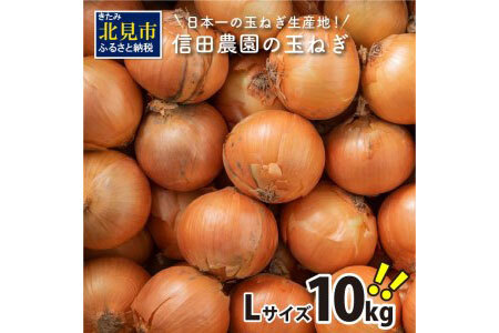 【Z55-001-2023】【先行予約】日本一の玉ねぎ生産地！信田農園の玉ねぎ 10kg【2023年9月中旬から順次発送】