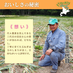 【Z55-001】日本一の玉ねぎ生産地！信田農園の玉ねぎ 10kg【2022年9月中旬から順次発送】