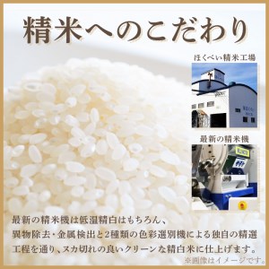 7営業日以内に発送》【訳あり】精白米 15kg 業務用 ( 北海道産米 わけ