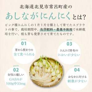 【予約：2025年1月上旬から順次発送】【訳あり】あしながにんにく 60g×4袋 ( 国産 北海道産 野菜 にんにく ニンニク 訳アリ セット 詰め合わせ )【143-0005-2025】