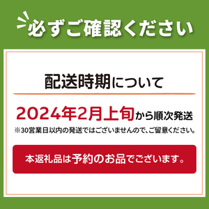 【予約：2025年2月上旬から順次発送】万能ガーリック調味料♪あしながにんにく粉 1袋 ( 万能調味料 にんにく 産地直送 調味料 ニンニク )【143-0001-2025】