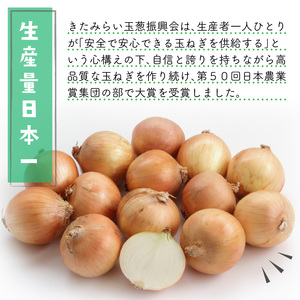 JAきたみらいから直送する甘くて美味しい新鮮玉ねぎ 20kg Lサイズ【104-0008-2025】