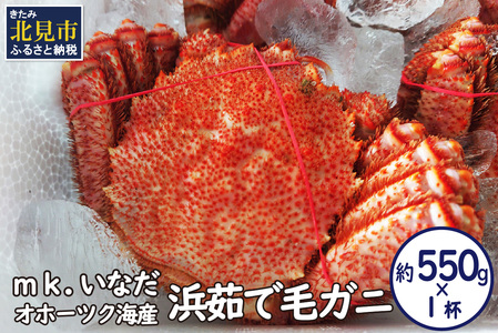 オホーツク海産 浜茹で毛ガニ 約550g×1杯 ( 海鮮 かに カニ 蟹 毛ガニ ボイル 贈答 ギフト )【113-0012】