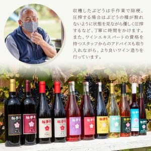 北見産ぶどう100％のワイン 桜夢雫 緋色 赤 ( ワイン 国産 ブドウ 辛口 ...