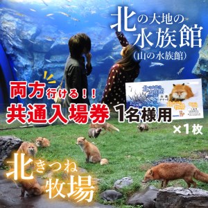 共通入場券