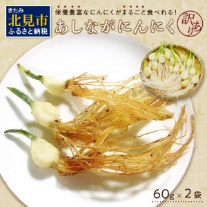 【Z45-005】【訳あり】あしながにんにく 60g×2袋【2022年11月下旬から順次発送】