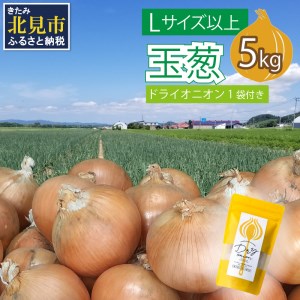 【予約：2024年10月中旬から順次発送】玉葱 5kg Lサイズ以上 北見ドライオニオン1袋付き ( 玉ねぎ たまねぎ ドライオニオン セット ふるさと納税 北見市 )【148-0015-2024】