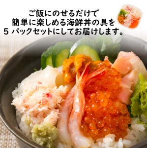 厳選！プレミアム海鮮丼セット 5個入 ( 海鮮丼 海鮮 イクラ ホタテ カニ ズワイガニ エビ 北海道 セット プレミアム 豪華 おつまみ 海の幸 )【094-0028】