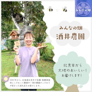 【非加熱・無添加】選べる 国産はちみつ KITAMI HONEY きたみはにー 1個 ( 蜂蜜 はちみつ ハチミツ 蜜 甘い ハニー 自然 純粋 酵素  ビタミン 生はちみつ 国産 )【098-0001】