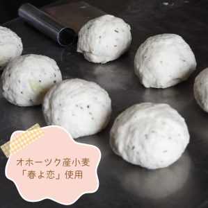 【朝食にもおやつにも】北海道産小麦でつくる ヘルシーベーグルセット 8個入 ( ベーグル 小麦 水 塩 春よ恋 食事 朝食 おやつ 満腹感 アールグレイ ビーツ 15穀 全粒粉くるみ 大麦 エブリシング かぼちゃ 黒米 )【049-0002】