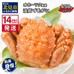 14営業日以内に発送》オホーツク海産 浜茹で毛がに 450g×1パイ ( かに