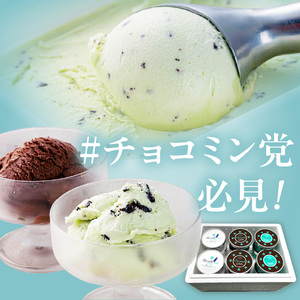 ミントジェラート カップ 3種×4個 ( ジェラート アイス アイスクリーム ハッカ チョコ ミント ミントアイス スイーツ チョコチップミント カカオ カップアイス ふるさと納税 )【007-0018】