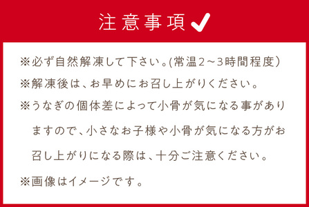 《14営業日以内に発送》オホーツクの綺麗な地下水で育った オホーツク うなぎ 2尾 ( 蒲焼 蒲焼き 丑の日 土用丑の日 )【160-0003】